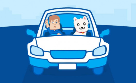 Best Cars for Dog Owners